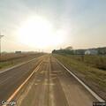 Calf loose on roadway near Dexter curve