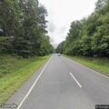 Tree partially blocking Prince Edward Highway
