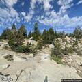Traffic stop near White Bark Vista viewpoint