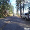 Group reported trying to steal items at Miller’s Landing
