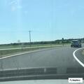 Cow loose in ditch along Highway 77
