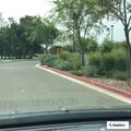 Person unconscious near Network Circle in Santa Clara