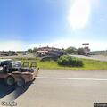 Loose dogs reported near Skyline on Highway 184