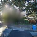 Report of people with flashlights behind house
