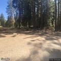Person with loss of consciousness on a pack trail