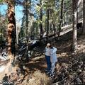 Rollover crash blocks Highway 41 near Tenaya Lodge