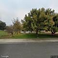 Person falls about 10 feet from tree in Turlock