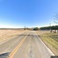 Cattle loose on roadway near Elkland