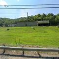 Car hits deer near Stone Coal Road tire shop