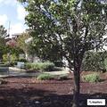 Priority one EMS dispatch to Foster City address