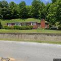 Deer causing traffic hazard on Kentucky 194