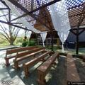 Person falls at Rustic Timbers Wedding Venue