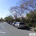 Traffic stop at Taylor and Palm in Millbrae