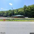 Deer in roadway causes damage on US 119