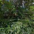 Civil complaint involving caller at Ashwood Court