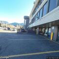 Officer chases bear from restaurant parking lot