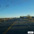 Officer advises dog quarantine after follow-up near Highway 17 North