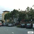 Person panhandling yells at shopper near store