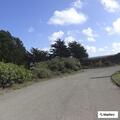Female walking uphill at park risks vehicle collision