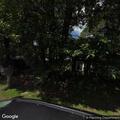 Tree damage causes propane tank gas leak