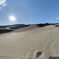 Closure violation with dogs off leash at Dune Field