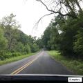 Large tree limb hanging in roadway