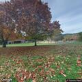Teen female found face down in park in Moraga
