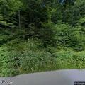 Tree limb blocking roadway on Peachtree Road