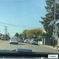 Falling tree branch damages parked car in Berkeley