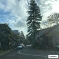 Medical emergency near Bateman Street in Berkeley
