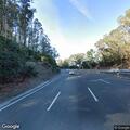 Deer on highway shoulder near Sausalito