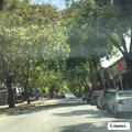 Medical emergency at auto repair shop in Berkeley