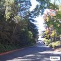 Person needs medical help near Derby Street in Redwood Gardens