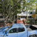 Person experiencing medical emergency near Cedar Street