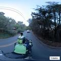 Tree down reported on Altozano in Orinda