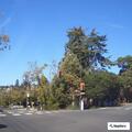 Pedestrian struck by vehicle at Monterey and Alameda