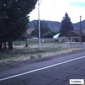 Dead deer in roadway on North Main Street