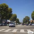 Driver in crash reports dizziness and headache