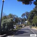 Medical emergency at South Harbor Road, Berkeley