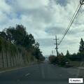 Deceased deer on shoulder of westbound SR-24
