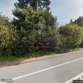 Car hits tree on Miller Avenue, occupants check injuries