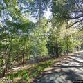 Person requires medical aid near North Canyon Road