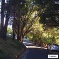 Lift assist for elderly woman at Arlington Avenue
