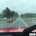 Pickup hits fallen tree at Pine View Store
