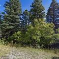 Smoke reported near campground in Aspen Acres burn