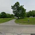Injured deer creating traffic hazard in roadside ditch