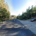 Loose dog running in roadway near Highway 162