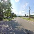 Loose dogs reported at Halsey and Hamilton