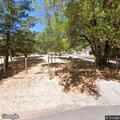 Complaint about barking dogs on Barranca Road