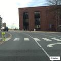 Loose dog creating traffic hazard on Main Street